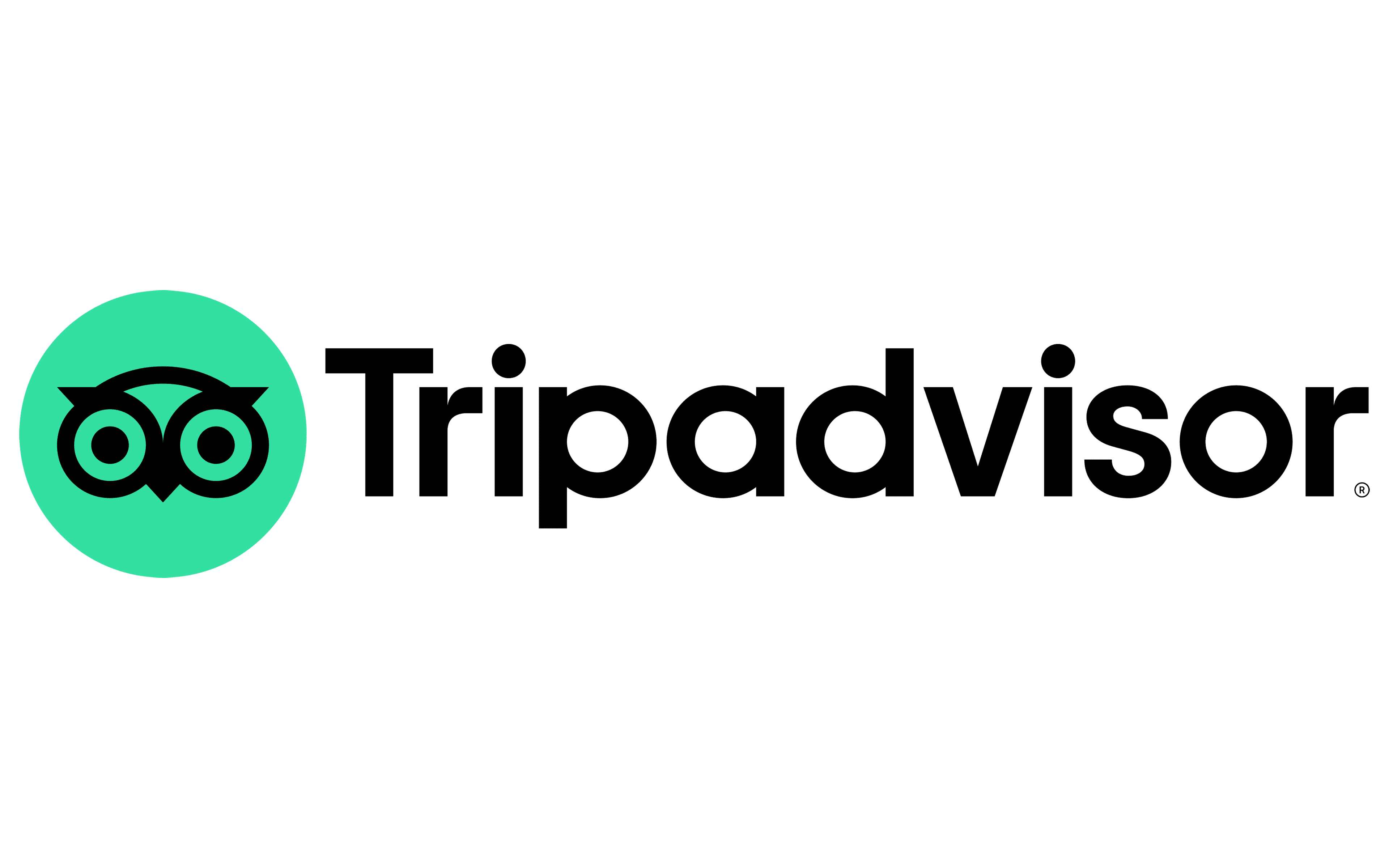 Trip Advisor logo